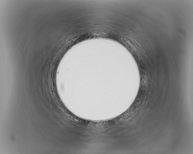 X0000114490817200911301104