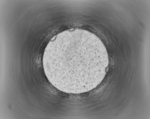 X0000114490818200911301104