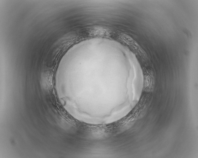 X0000114490820200911301104