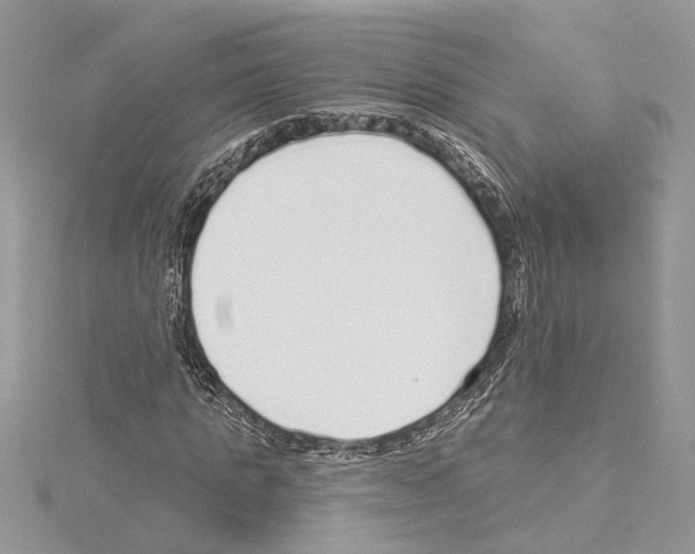 X0000114490821200911301104