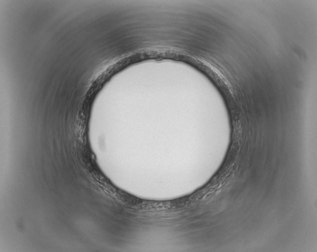 X0000114490823200911301104