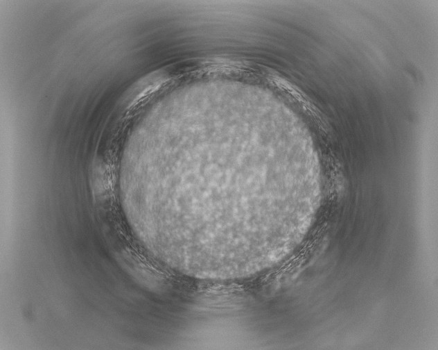 X0000114490824200911301104