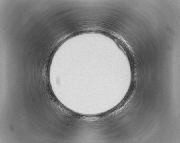 X0000114490825200911301104