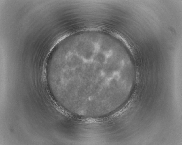 X0000114490827200911301104