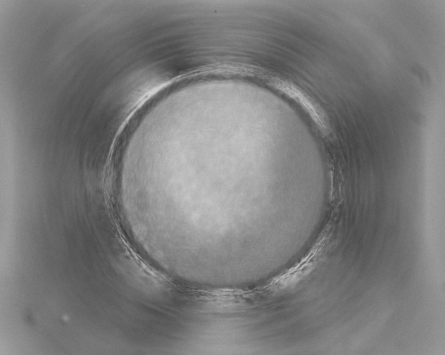 X0000114490828200911301104