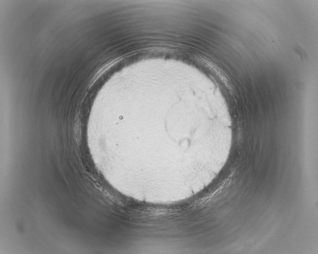 X0000114490829200911301104