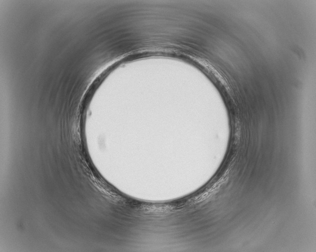 X0000114490830200911301104