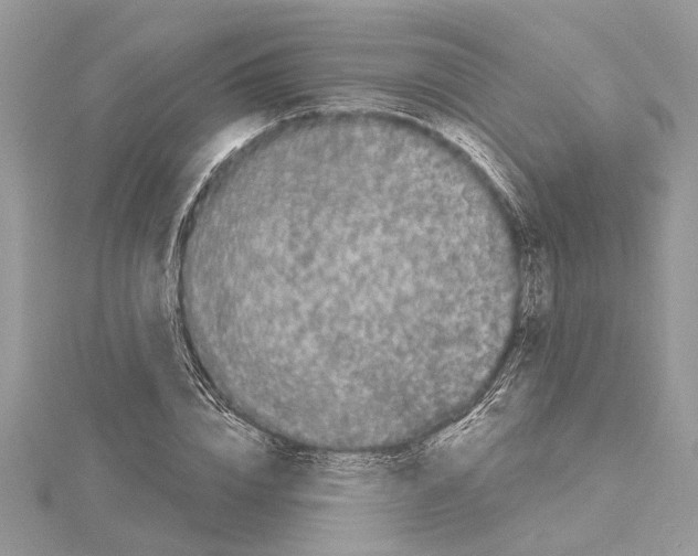 X0000114490832200911301104