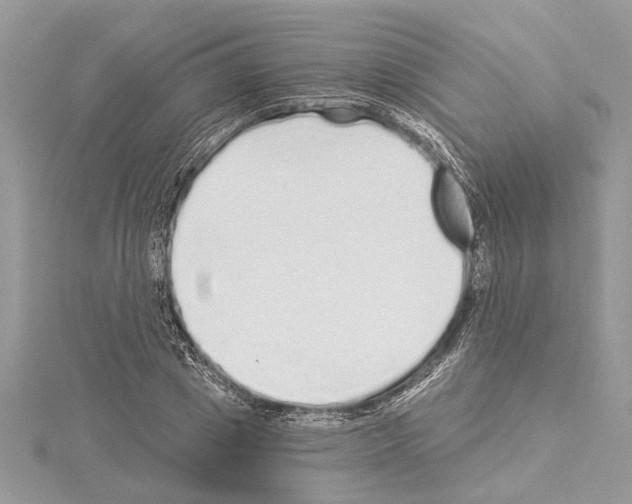 X0000114490833200911301104