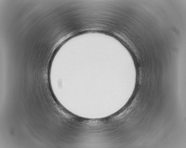 X0000114490834200911301104