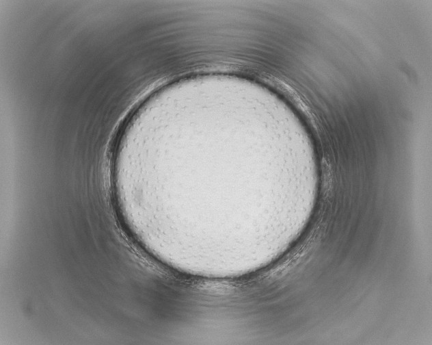 X0000114490835200911301104