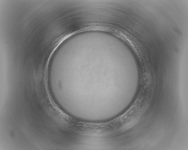 X0000114490836200911301104