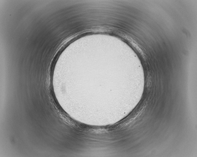 X0000114490837200911301104