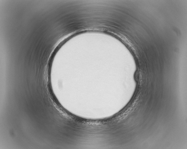 X0000114490838200911301104