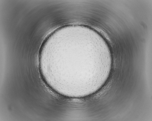 X0000114490839200911301104