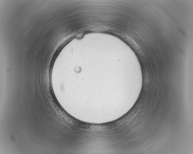 X0000114490840200911301104