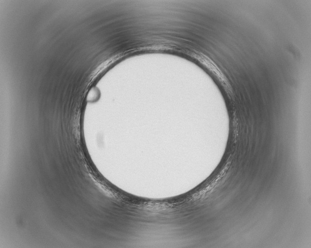 X0000114490842200911301104