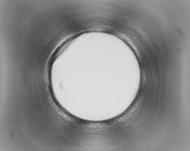 X0000114490843200911301104