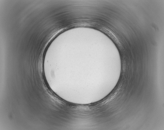 X0000114490844200911301104