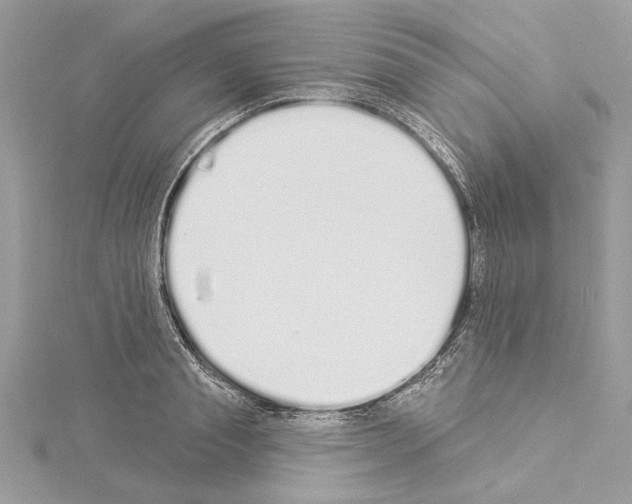 X0000114490845200911301104