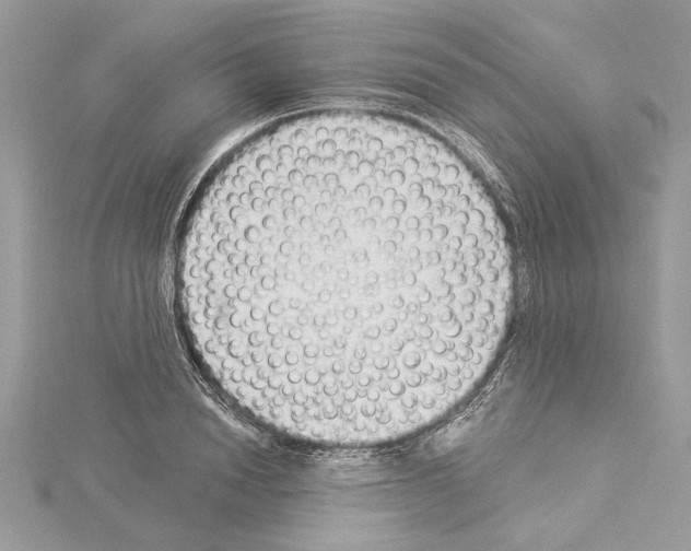 X0000114490846200911301104