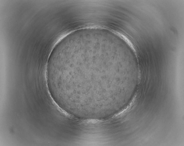 X0000114490847200911301104