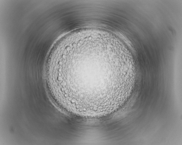 X0000114490848200911301104