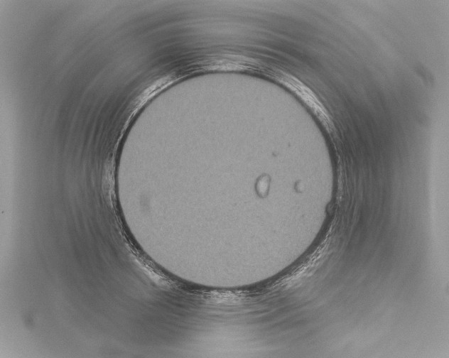 X0000114490850200911301104