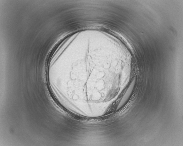 X0000114490851200911301104