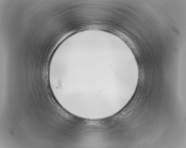 X0000114490852200911301104