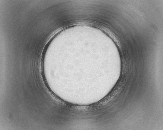 X0000114490853200911301104