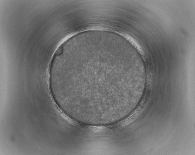 X0000114490854200911301104