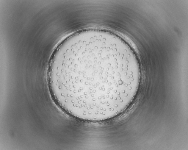 X0000114490855200911301104