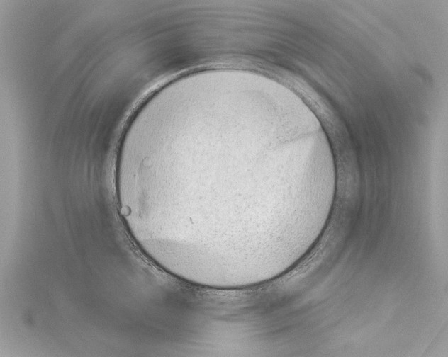 X0000114490856200911301104