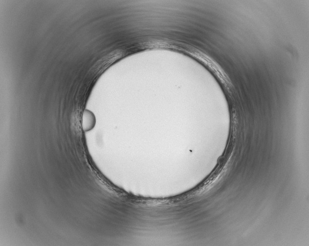 X0000114490857200911301104