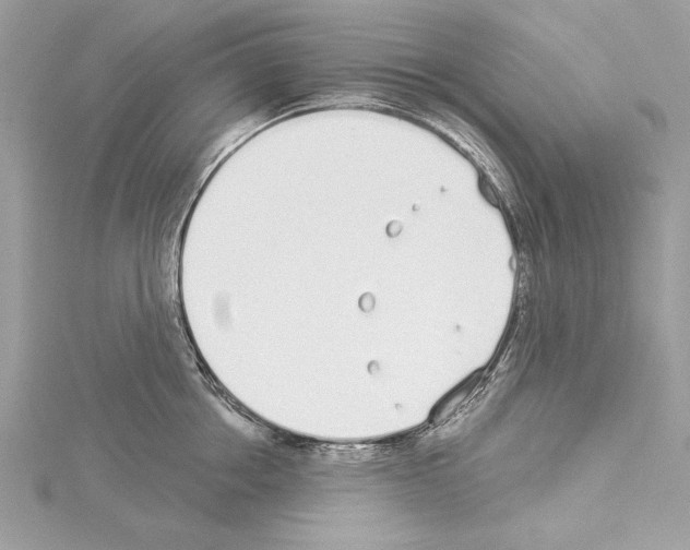 X0000114490858200911301104