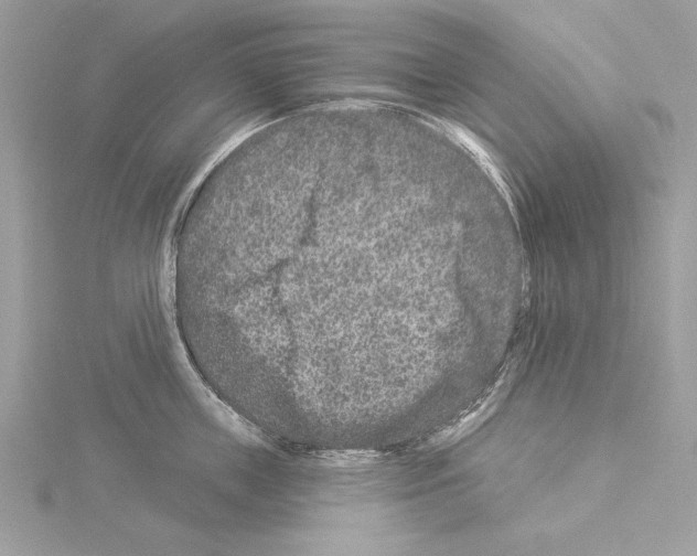 X0000114490859200911301104