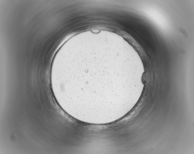 X0000114490860200911301104