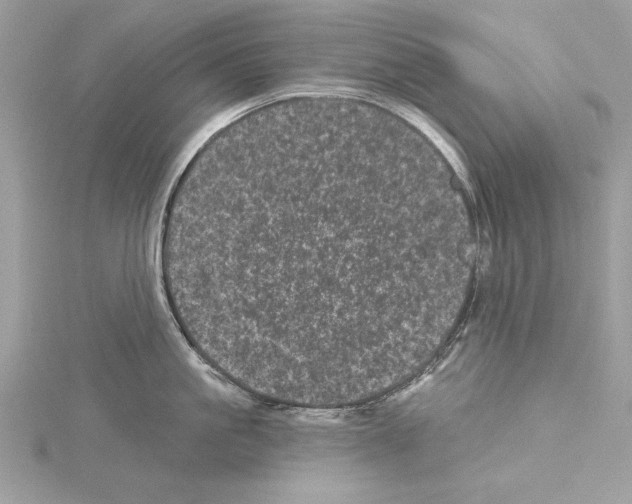 X0000114490861200911301104