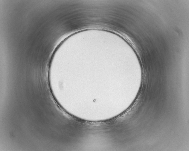 X0000114490862200911301104