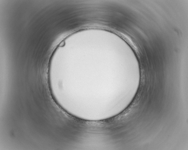 X0000114490863200911301104