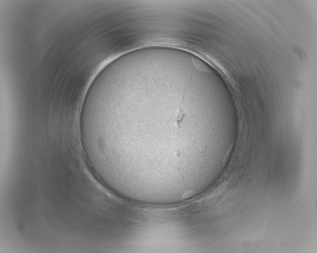 X0000114490864200911301104