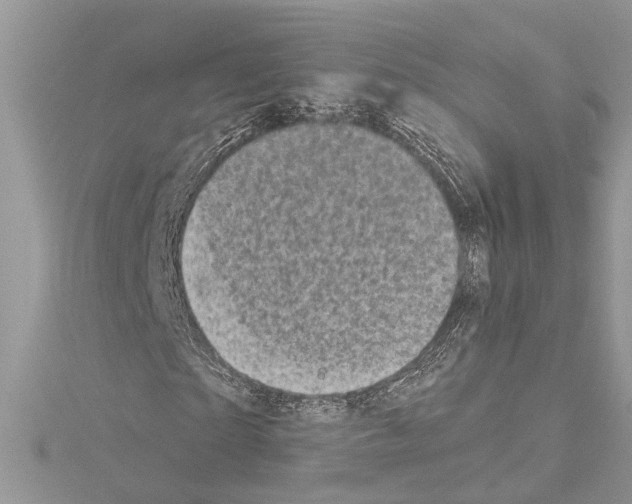 X0000114490865200911301104