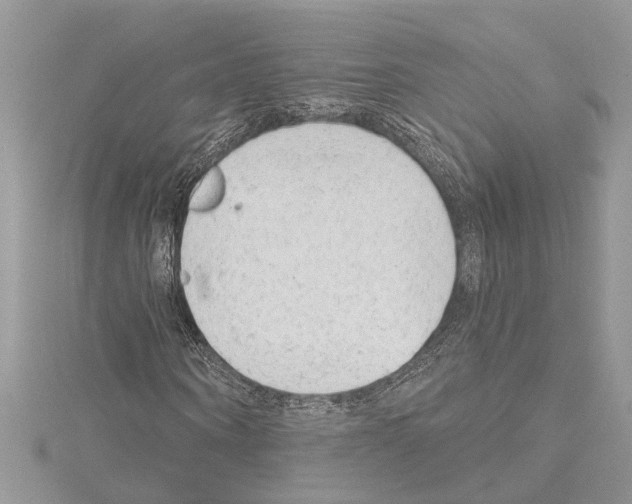 X0000114490866200911301104