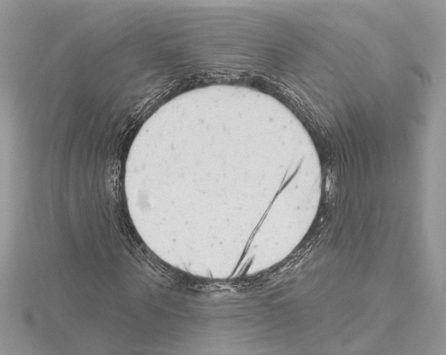 X0000114490867200911301104