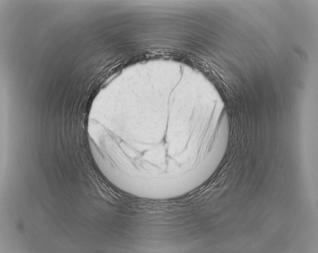 X0000114490868200911301104