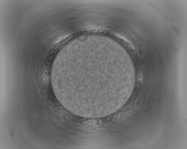 X0000114490869200911301104