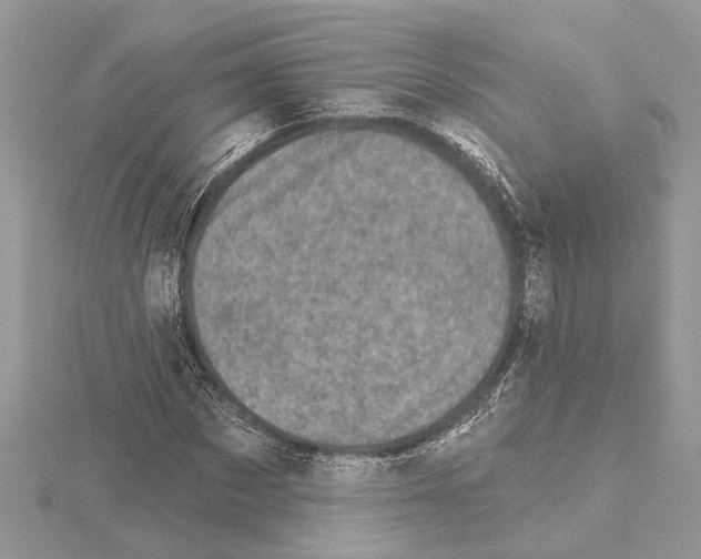 X0000114490873200911301104