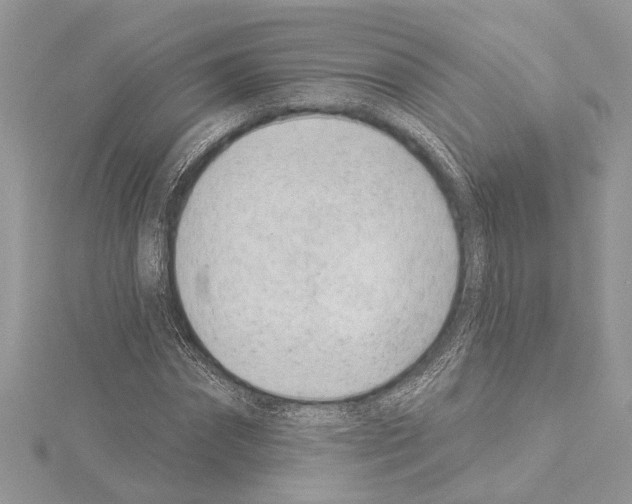 X0000114490874200911301104