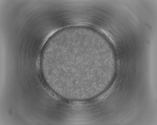 X0000114490875200911301104